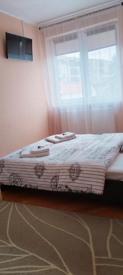 Appartamento Apartament Giulia Făgăraş Esterno foto
